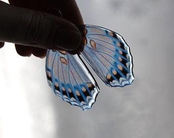 Blue earrings|for|wife gift|for|architect Butterfly earrings Entomology jewelry Black earrings Romantic gift|for|girlfriend gift aqua marine