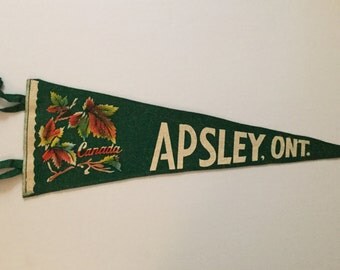Apsley, Ontario, Canada - Vintage Pennant
