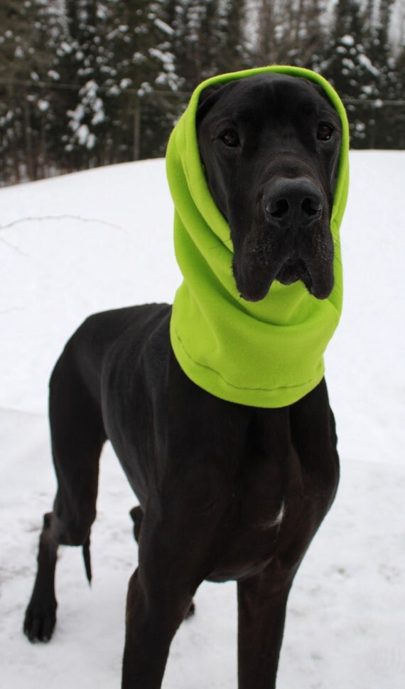 XL Great Dane Neon Snood / XXL Dog Neck Warmer / Great Dane