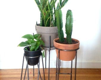Set of (3) includes The Doris, The Cynthia and The Vernon - Modern Metal Plant Stands