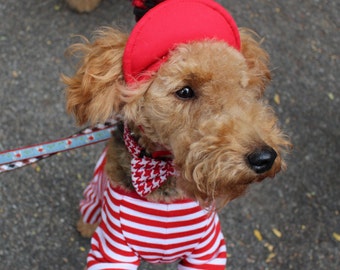 Red and White Doggie PomPom Hat