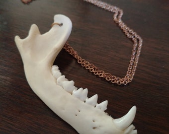 Real Jawbone Necklace, Animal Bone Jewelry, Natural Tooth Necklace
