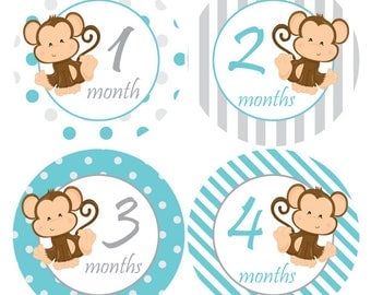 Boy Month Stickers, Monkey stickers, Baby monthly stickers, Baby Shower gift, Boy Growth stickers, Newborn photo prop, Grey Teal Monkey A227