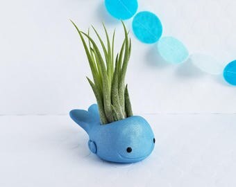 Blue Whale Air Plant Holder, Air Planter, Air Plant Holder, Best of Summer, Gift for Her, Planter, Hostess Gift, Gift Women, Desk Accessory