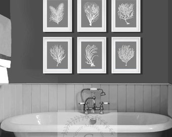 beach decor wall art a set of 6 white sea corals over grey background - Bathroom Decor Black And White beach decor wall art a set of 6 white sea corals over grey background - Bathroom Decor Black And White