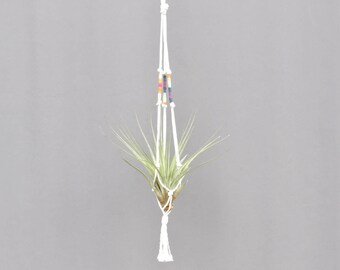 Macrame color wrap plant hanger, macrame multi-color hanging pot hanger, macrame hanger, hippie decor, boho, modern macrame, bohemian