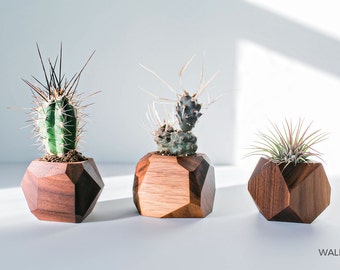 Geometric Air Plant / Succulent Planters - Set of 3 - Walnut & Maple