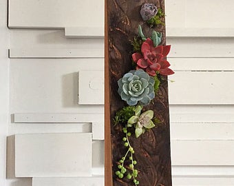 Succulent art/plant art/succulents/succulent planter/succulent arrangement/reclaimd wood/rustic decor/burnt wood/wood art/planter/air plant