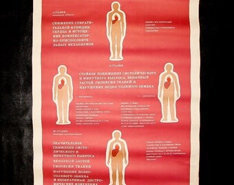 Blood circulation human anatomy print heart anatomy original poster gift for doctor medical medicine human skeleton vintage anatomy gifts