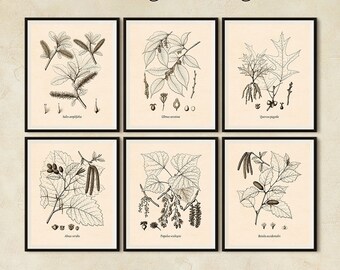 Botanical print set, Set of 6 prints, Botanical print vintage, Antique botanical prints, Tree print, Printable set, Botanical digital JPG