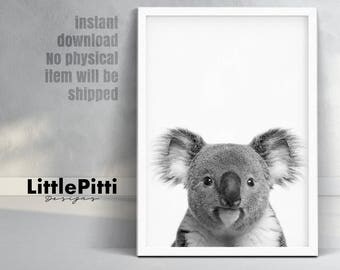Koala, australian art, koala nursery decor, koala bear wall art, nursery art print, koala photo, childrens art prints, Kids Room Wall Art