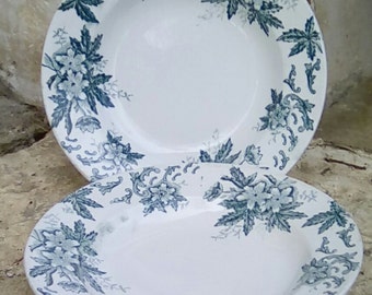 Antique French faïence bowls by St Amand.