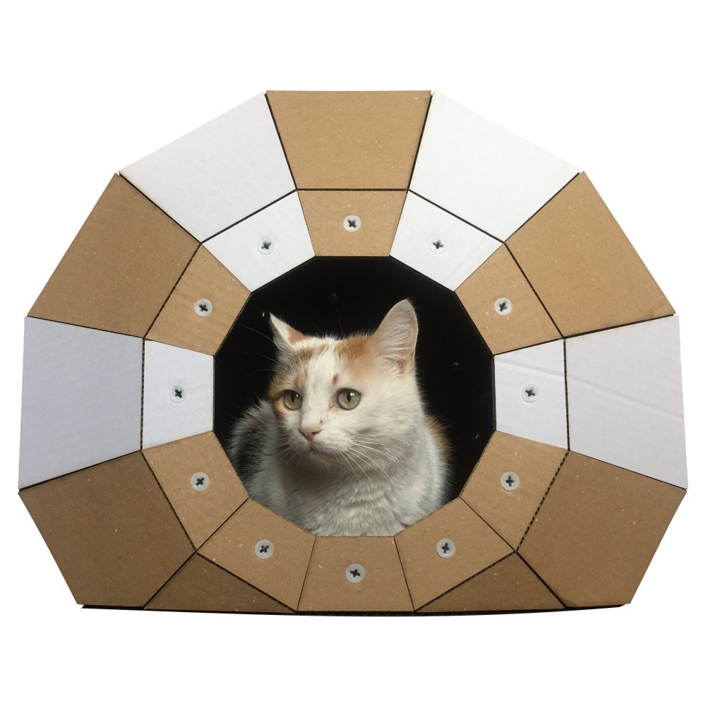 pica cats cardboard