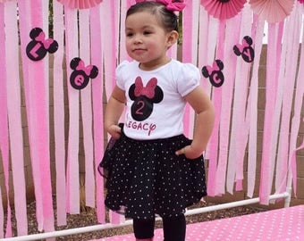 Minnie Mouse Birthday Shirt, disney birthday, two years old, 2nd birthday outift