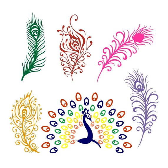 Download Peacock Feather Bird Designs SVG DXF EPS Silhouette Studio