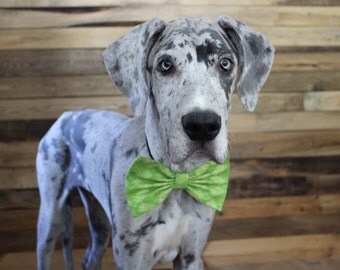 Great dane clothes | Etsy