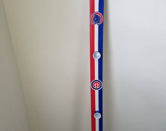 Shot Ski