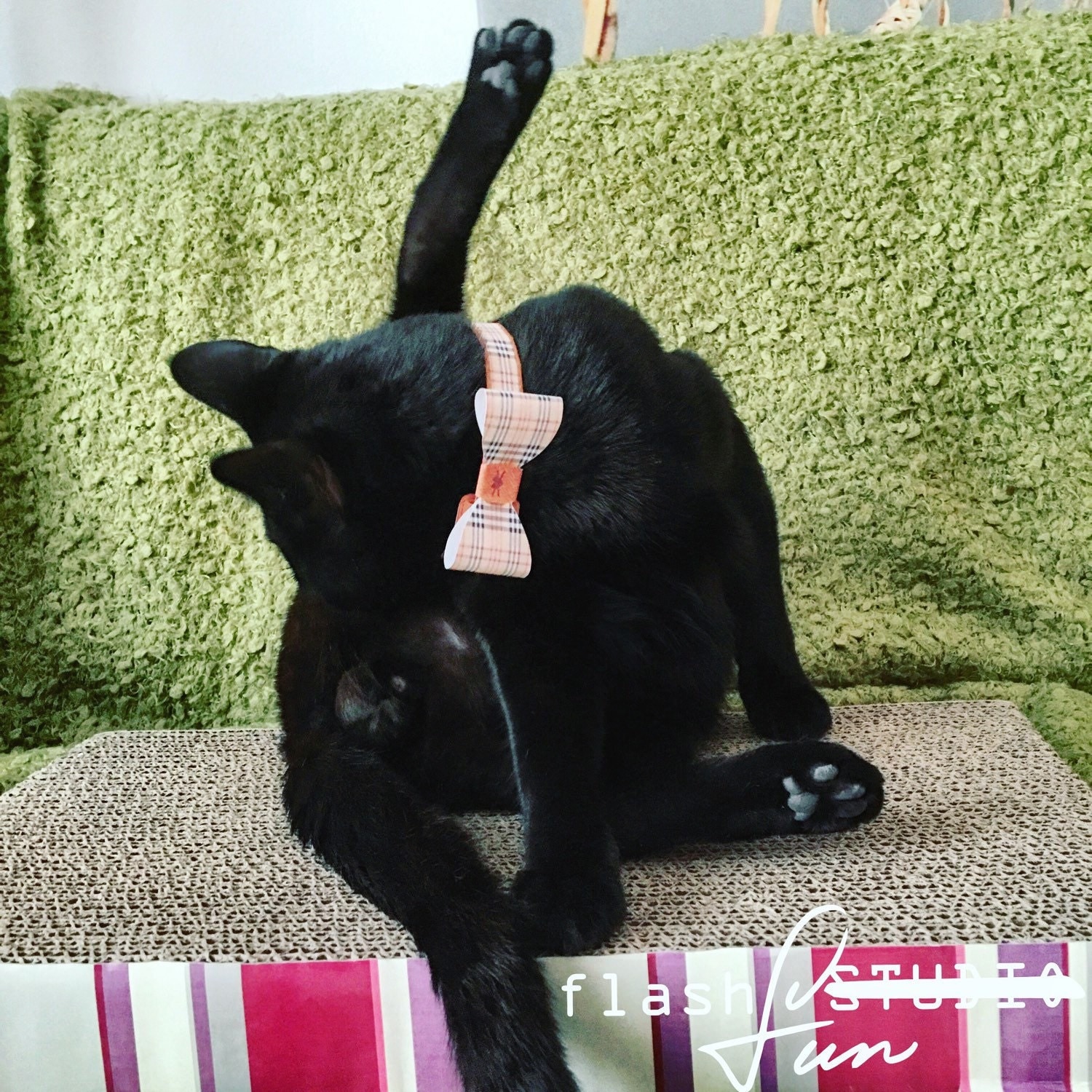 adult black cat Bastet Egyptian goddess printable mask