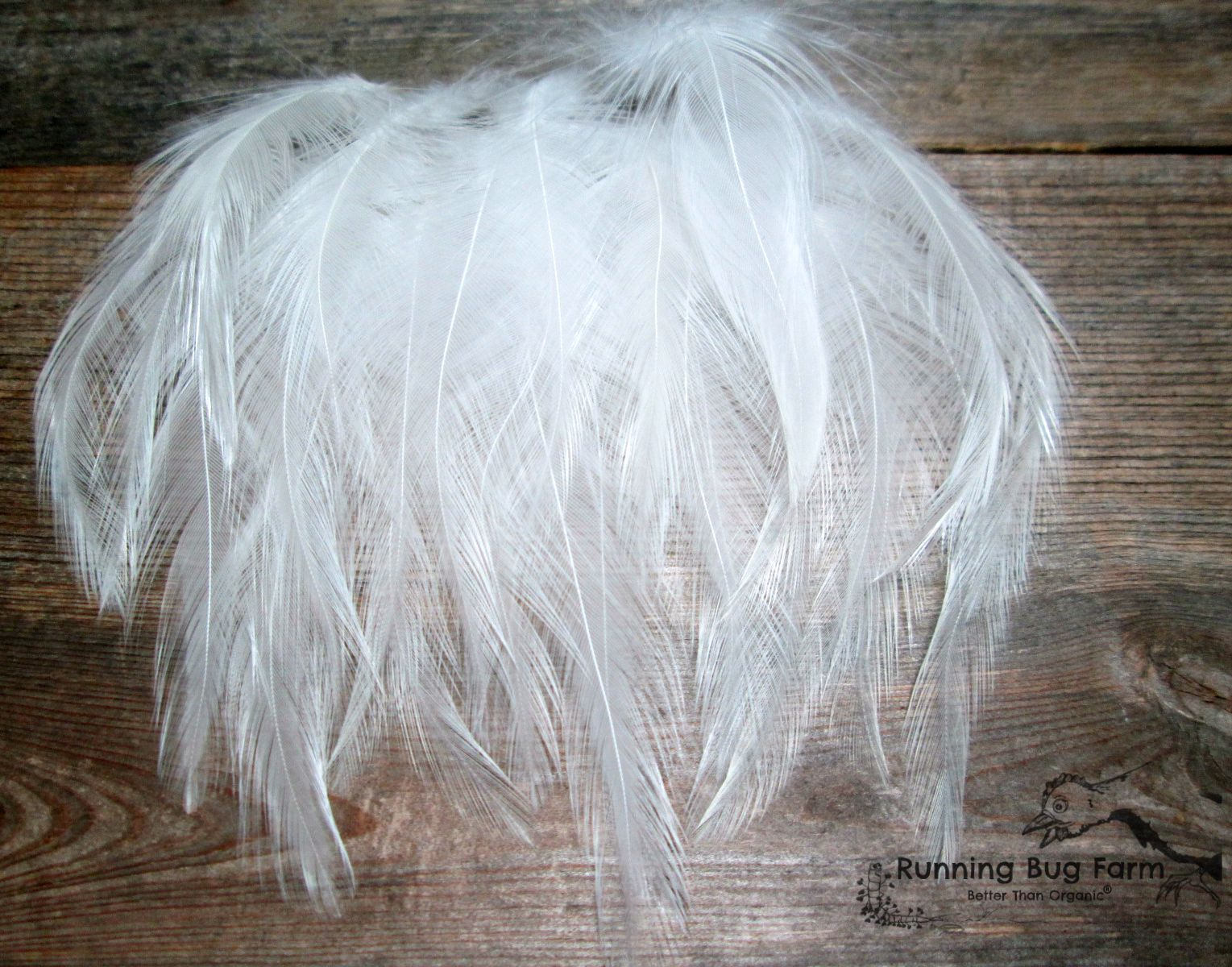 White Feathers Craft Supplies White Craft Feathers Cruelty