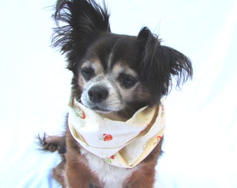 Pet Dog Infinity Scarf Size small with Muchrooms