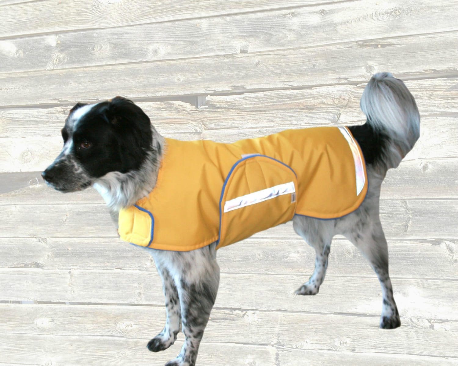Winter Dog Coat custom made with adjustable velcro closures