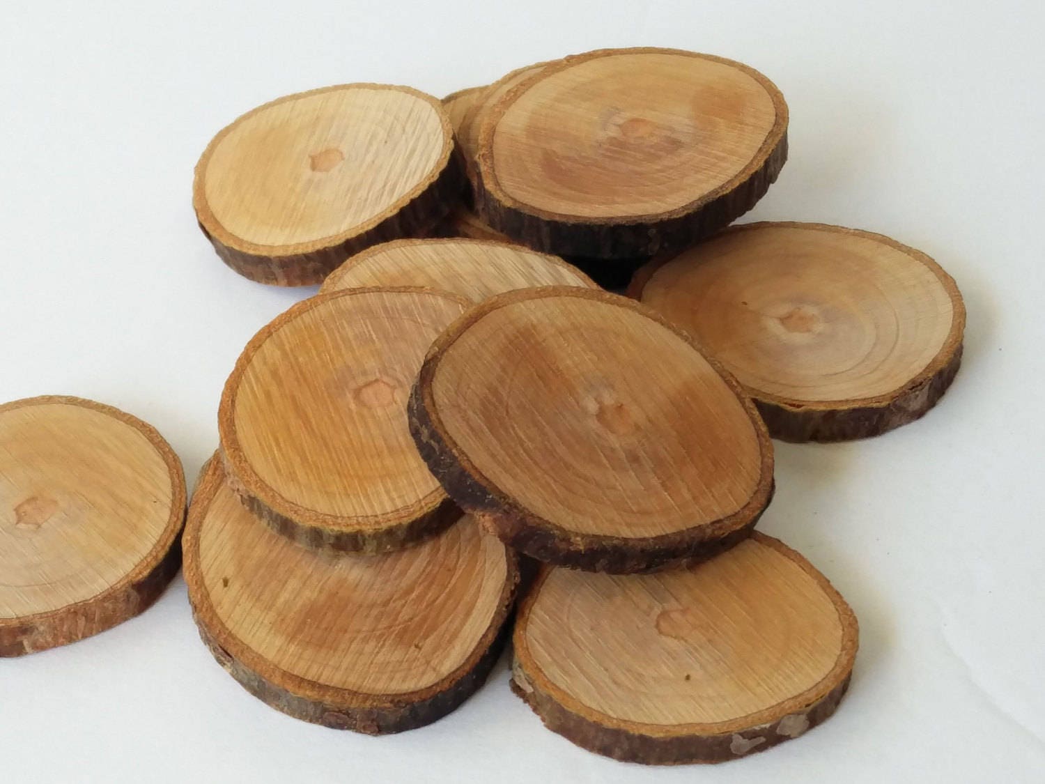 Craft Rounds, Set of 12 Rustic Plum Tree Branch Craft Rounds, Rustic ...