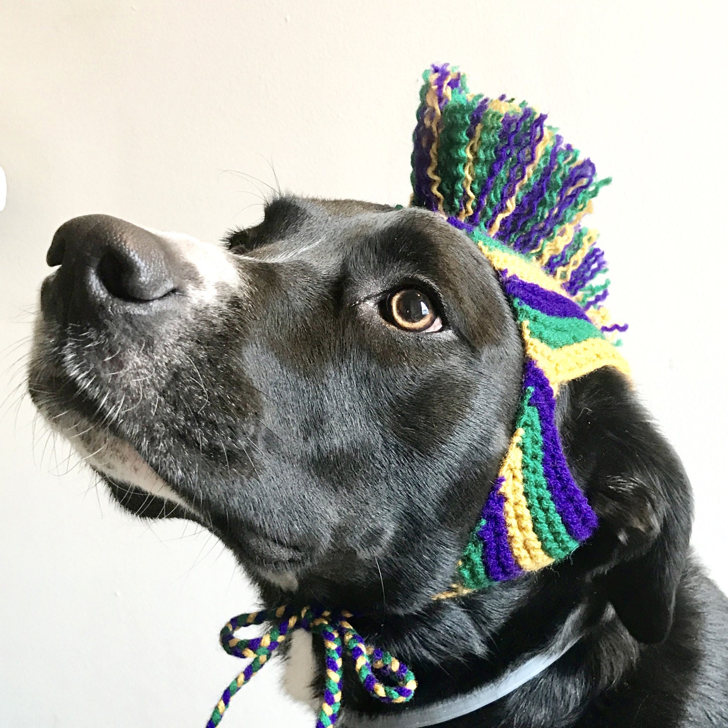 Mardi Gras Dog Costume Hand Knit Dog Hat Custom Sizing