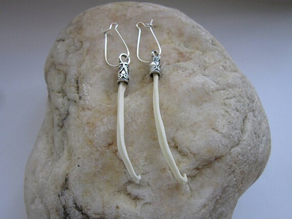 Raccoon penile bone on sale jewelry