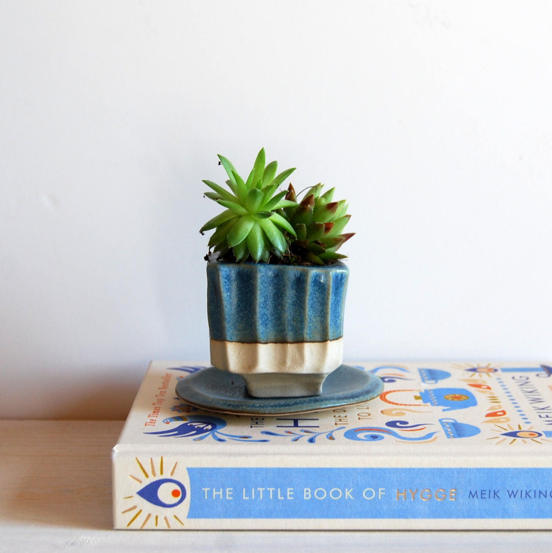 Succulent pot with drainage hole Cactus pot Small plant pot