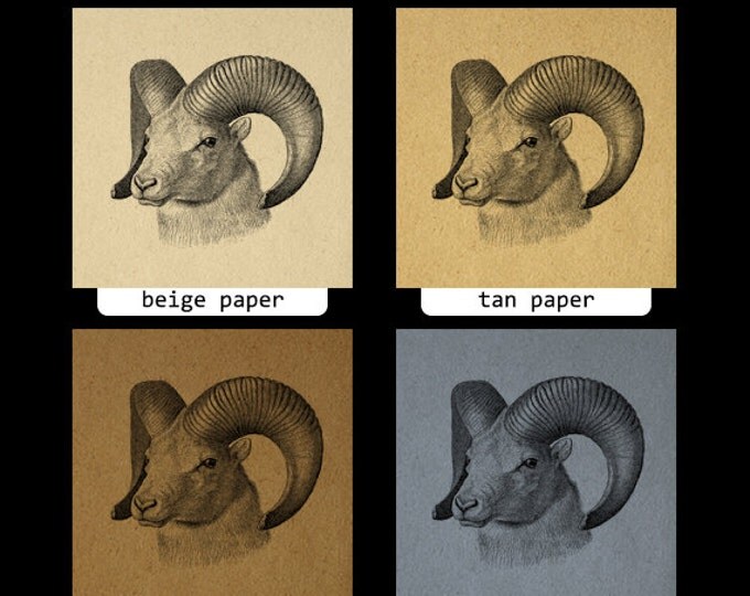 Printable Goat Image Digital Goat Graphic Ram Horns Farm Animal Digital Sheep Clipart Download Antique Clip Art Jpg Png Eps HQ 300dpi No.485