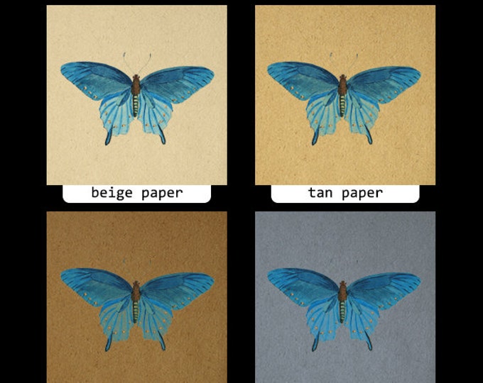 Printable Blue Butterfly Graphic Download Image Digital Illustration Antique Clip Art HQ 300dpi No.3898