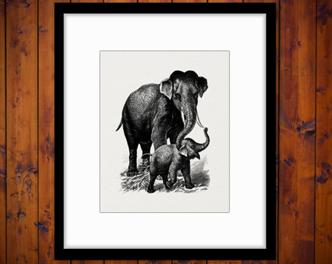 Printable Graphic Elephant and Baby Elephant Download Digital Image Antique Clip Art Jpg Png Eps HQ 300dpi No.3867