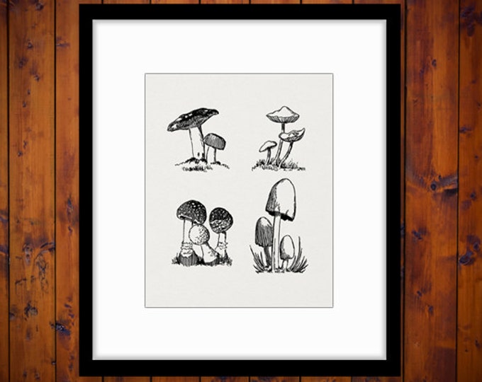 Printable Mushroom Collage Sheet Digital Graphic Image Download Vintage Clip Art Jpg Png Eps HQ 300dpi No.3824