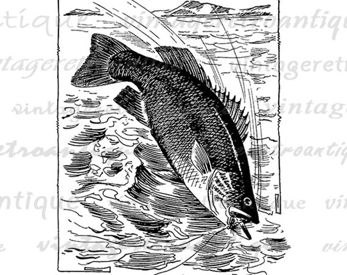 Fishing Digital Image Download Fish Graphic Antique Illustration Printable Vintage Clip Art Jpg Png Eps HQ 300dpi No.3838