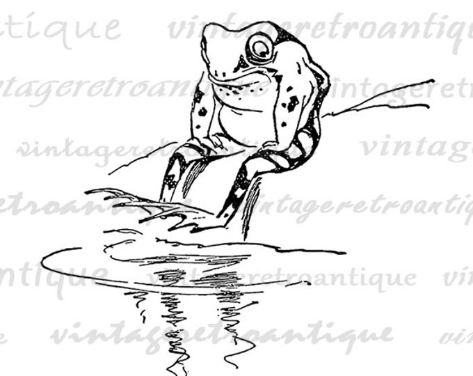 Digital Graphic Sitting Frog Image Cartoon Download Printable Vintage Clip Art Jpg Png Eps HQ 300dpi No.2032