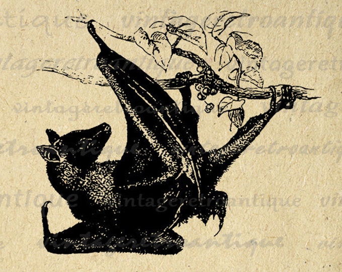 Flying Fox Bat Printable Image Graphic Illustration Download Digital Antique Clip Art Jpg Png Eps HQ 300dpi No.3203