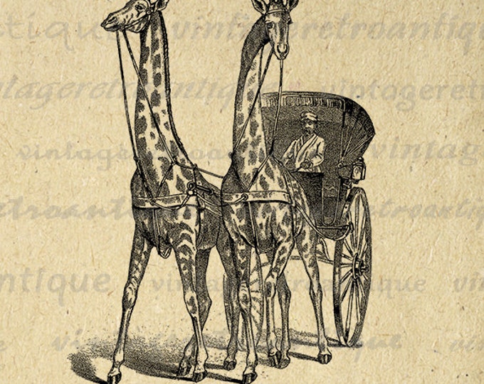 Printable Digital Giraffe Carriage Antique Image Download Graphic Vintage Clip Art Jpg Png Eps HQ 300dpi No.298