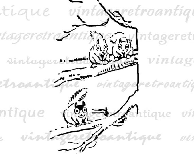 Three Cute Squirrels Graphic Printable Download Animal Image Digital Vintage Clip Art Jpg Png Eps HQ 300dpi No.832