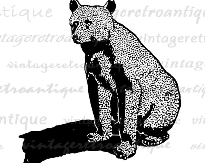 Antique Bear Digital Graphic Image Animal Download Printable Vintage Clip Art Jpg Png Eps HQ 300dpi No.434