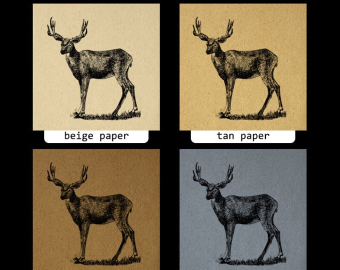 Printable Graphic Antique Mule Deer Image Download Digital Illustration Vintage Clip Art Jpg Png Eps HQ 300dpi No.2180