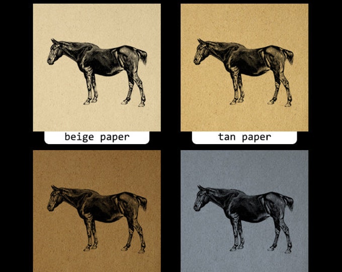 Printable Horse Graphic Image Antique Horse Digital Download Vintage Clip Art Jpg Png Eps HQ 300dpi No.660