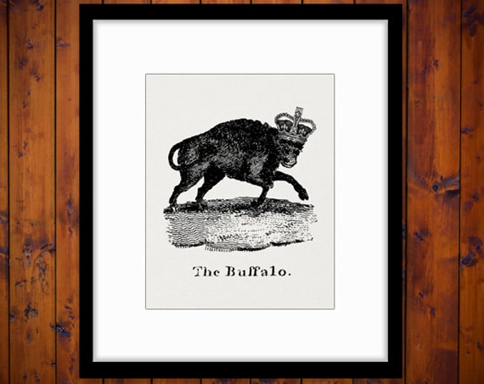 Buffalo with Crown Printable Graphic Image Illustration Digital Download Vintage Clip Art Jpg Png Eps HQ 300dpi No.1077