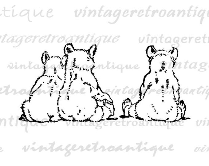 Bear Digital Graphic Image Three Bears Download Nursery Cute Animals Bears Printable Antique Clip Art for Transfers etc HQ 300dpi No.4629