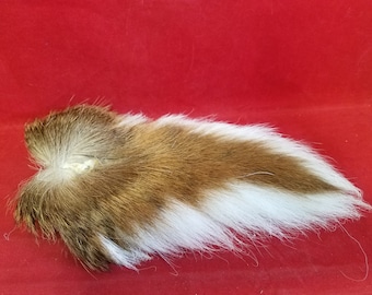 Whitetail deer taxidermy Tail #3 -crafts, fly fishing