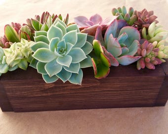 9" SUCCULENT planter box, centerpiece, Mother's Day, gift, wedding