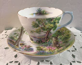 Shelley China Woodland Cup and Saucer