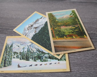 Vintage Mount Rainier National Park Linen Postcard Collection of 3