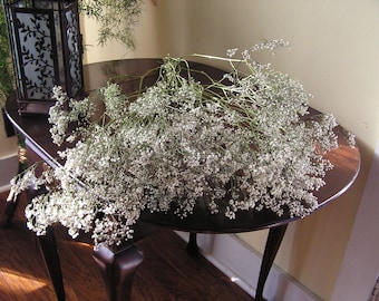 Dried Baby's Breath, Bunch of Dried Baby's Breath, Country Bunch, Long Lasting Flowers, Dried Flowers, White Flower Filler, Field Flowers