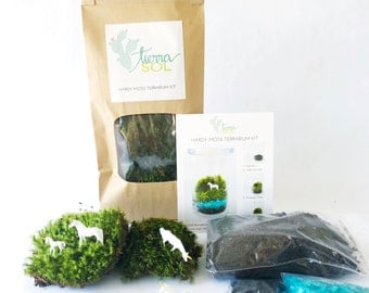 DIY Terrarium Kit - Unicorn- Hardy Moss Terrarium, Unicorn Terrarium - Medium