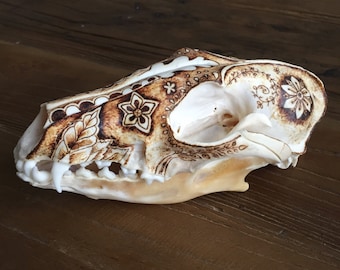 Raccoon Skull - Pyrography Art - Art On Bone - Skull Decor - Real Animal Skull - Pretty Decor - Unique Art - Taxidermy Art - TimberleeEU